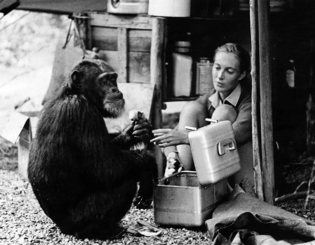 jane-goodall-174.webp