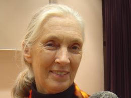 jane-goodall-195.jpeg