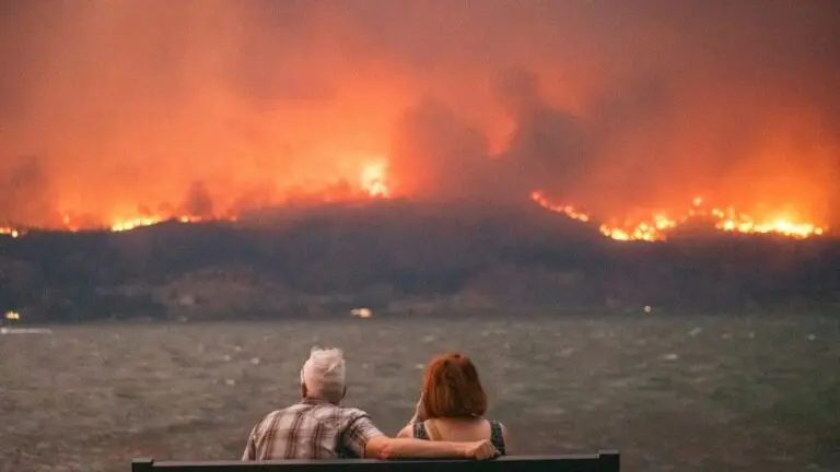 Recent Developments on the Kelowna Fire Situation image 1