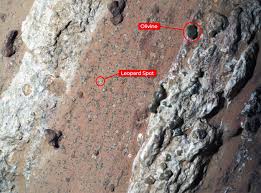 nasa-announces-life-on-mars-77.jpeg
