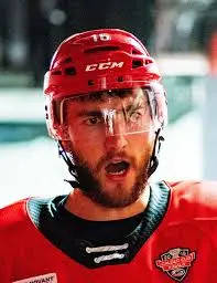 Nicolas Roy: A Rising Star in the NHL