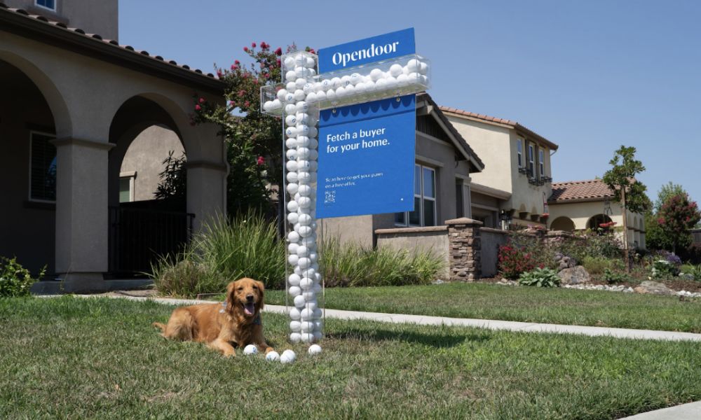opendoor-stock-42.jpeg