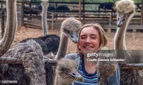 ostrich-farm-20.jpeg