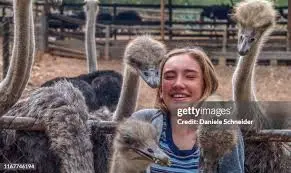 ostrich-farm-20.jpeg