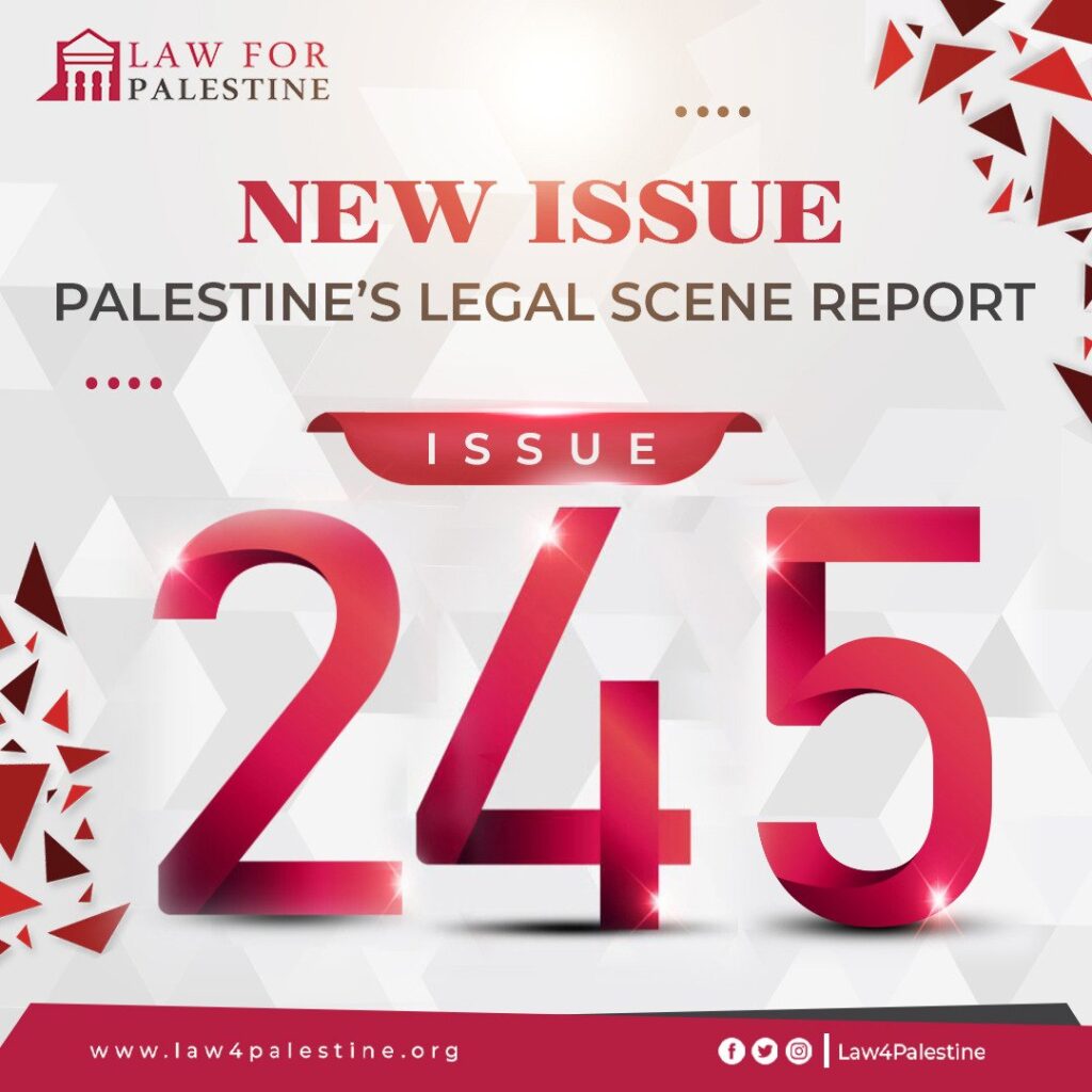palestine-245.jpeg
