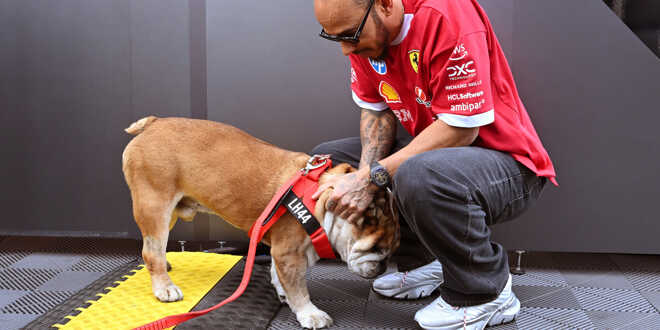 roscoe-hamilton-107.jpeg