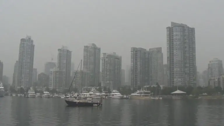 smoke-vancouver-168.jpeg