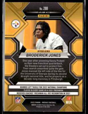 steelers-game-288.jpeg
