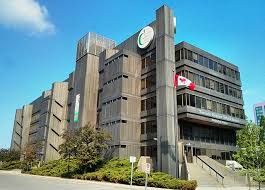 tdsb-121.jpeg