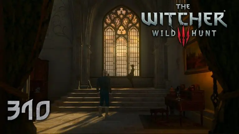 the-witcher-310.jpeg