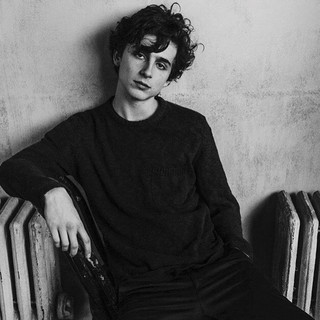 timothee-chalamet-226.jpeg