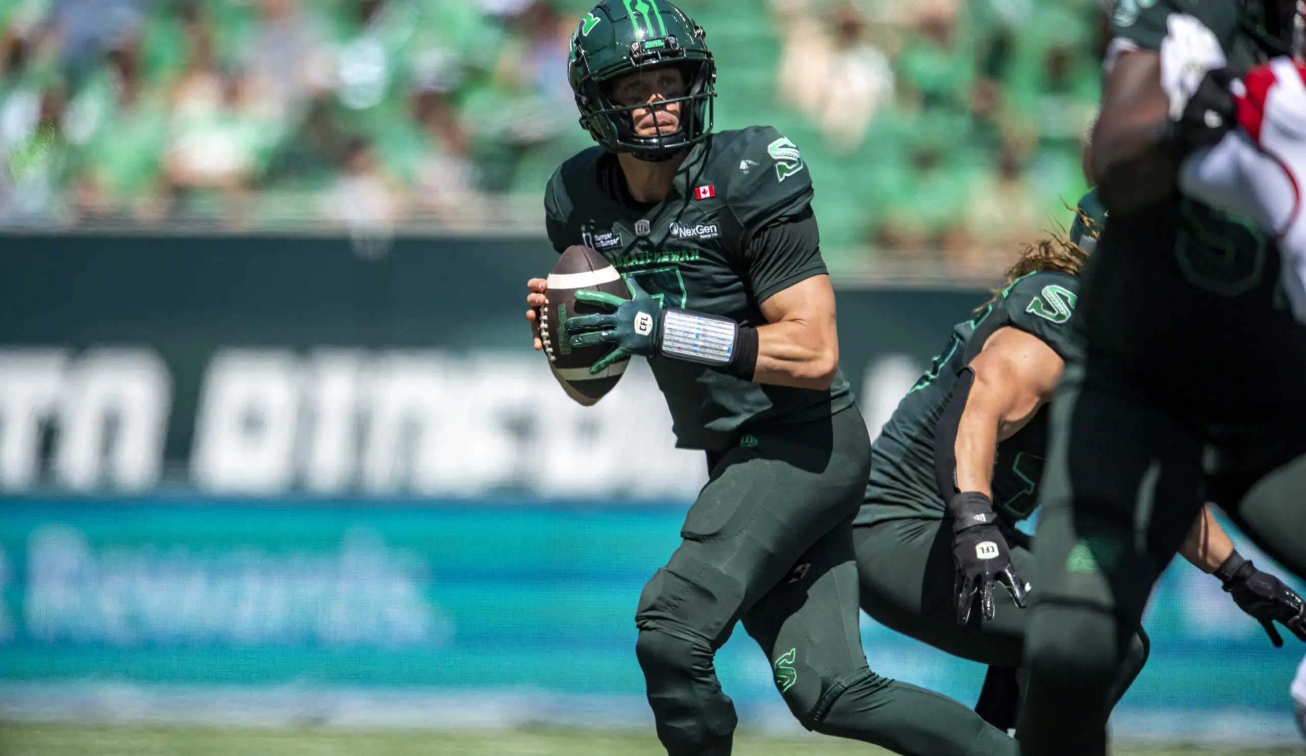 Trevor Harris: An Overview of His Career and Recent Developments