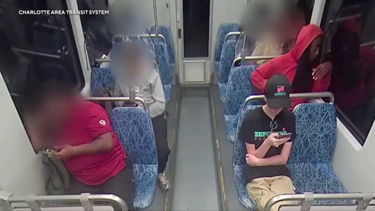 ukrainian-woman-killed-on-train-286.jpeg