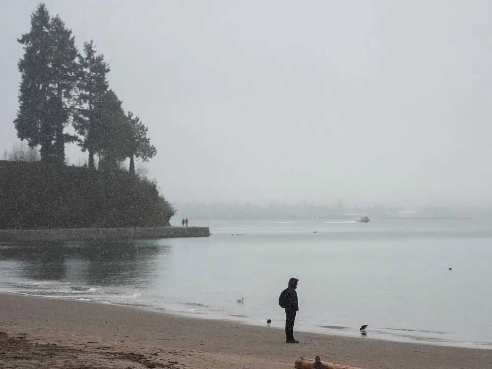 Recent Trends in Vancouver Weather: What to Expect
