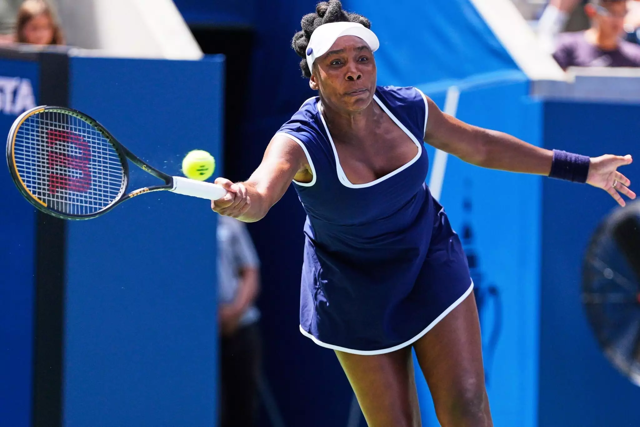 The Legacy of Venus Williams in Tennis and Beyond image 1