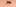 virus-du-nil-114.jpeg