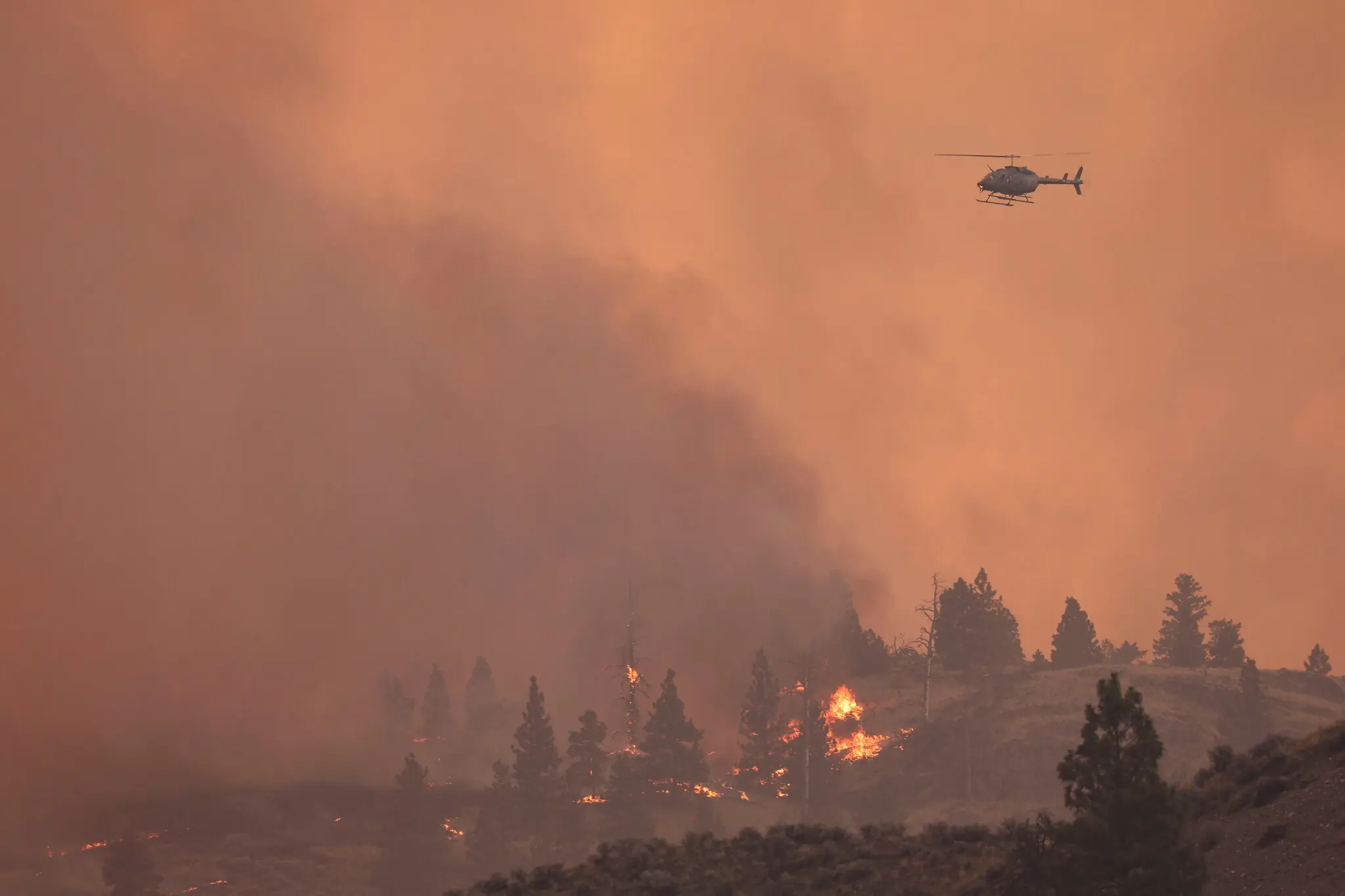The Current State of Wildfires in Alberta: What You Need to Know