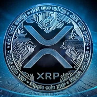 xrp-187.jpeg