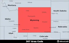 zone-911-307.png