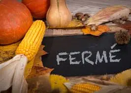 Comprendre l’Action: Ouvert et Fermé en Interactions