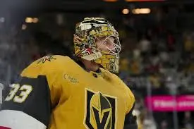 Adin Hill: A Look at His Remarkable Journey in Hockey