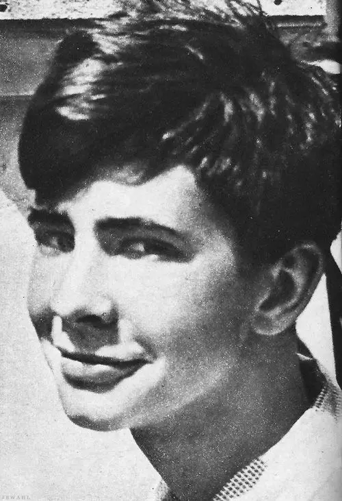 The Life and Legacy of Anthony Perkins image 1