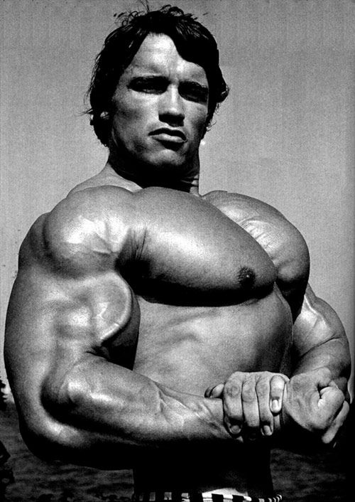 arnold-schwarzenegger-141.jpeg