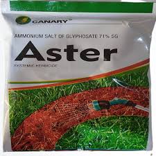 aster-trade-71.jpeg