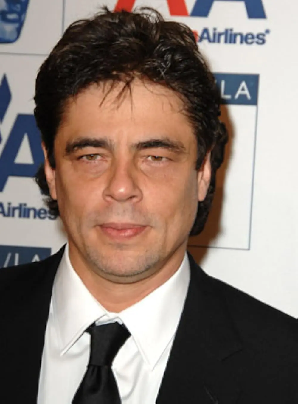 The Life and Career of Benicio del Toro image 1
