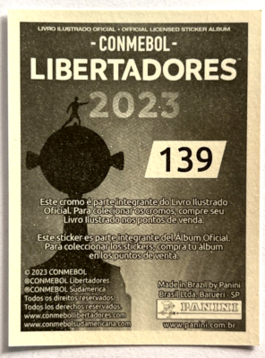 copa-libertadores-139.png