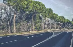 La Croatie : Un Joyau Méditerranéen à Découvrir