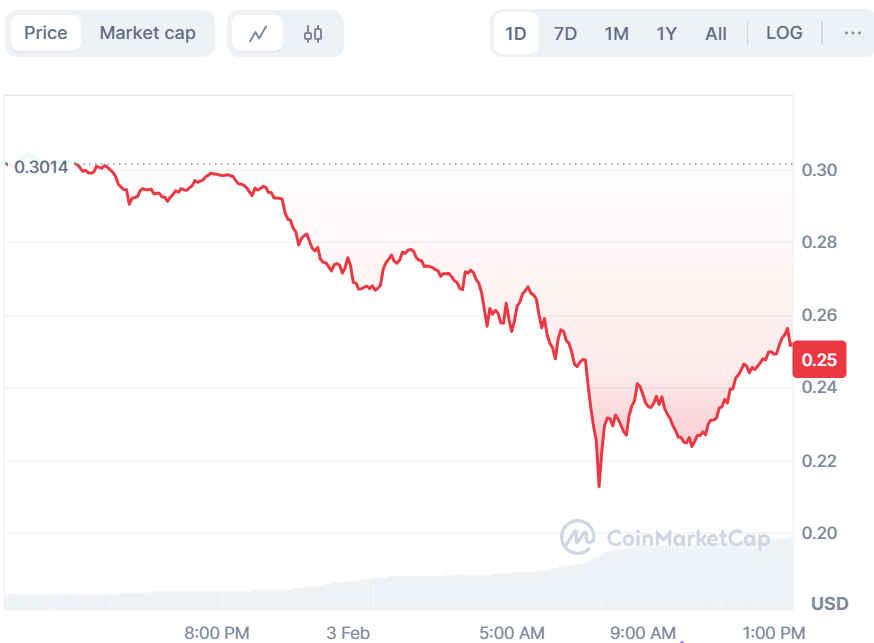 cryptocurrency-market-crash-16.jpeg