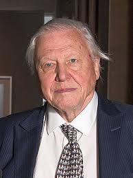 david-attenborough-240.jpeg