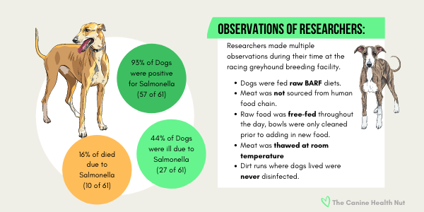 dog-food-salmonella-61.png