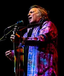 The Legacy of Don McLean: A Musical Icon
