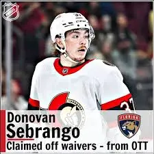 The Journey of Donovan Sebrango: A Canadian Hockey Talent