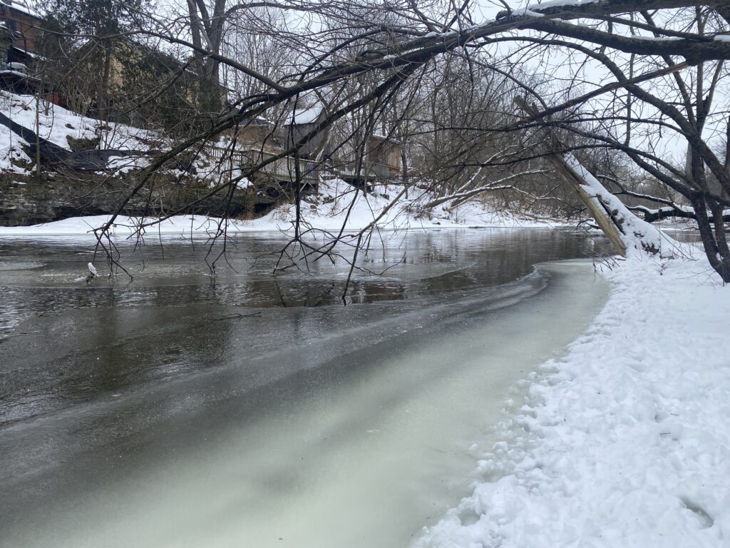 guelph-weather-94.jpeg