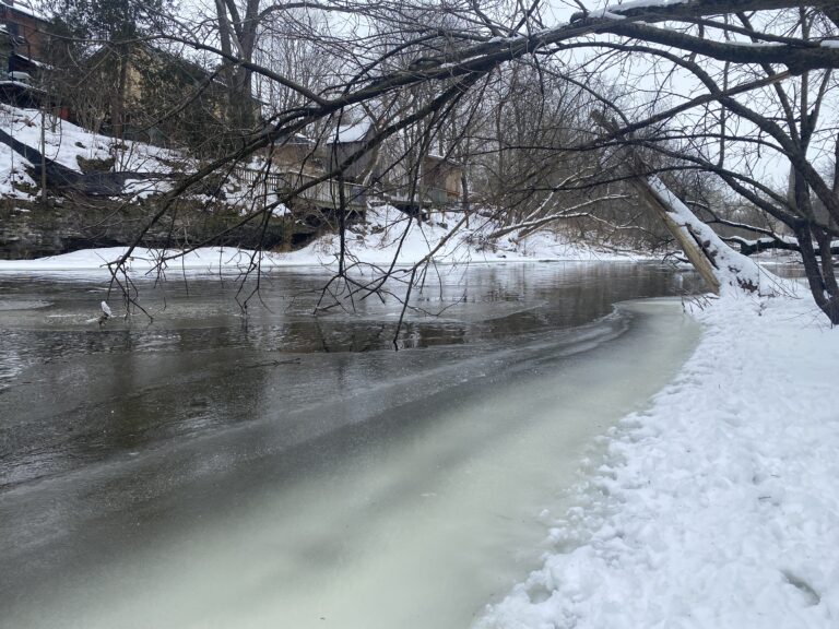 guelph-weather-94.jpeg