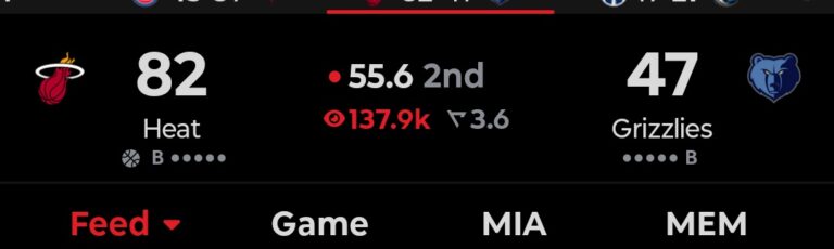 heat-vs-grizzlies-82.jpeg