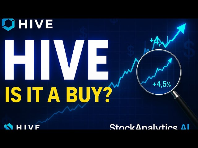 hive-stock-47.jpeg