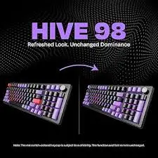 Hive Stock: Current Trends and Future Outlook
