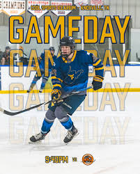 hockey-games-tonight-110.jpeg