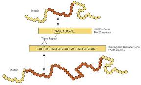 huntington-disease-88.jpeg