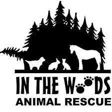 in-the-woods-animal-rescue-135.png