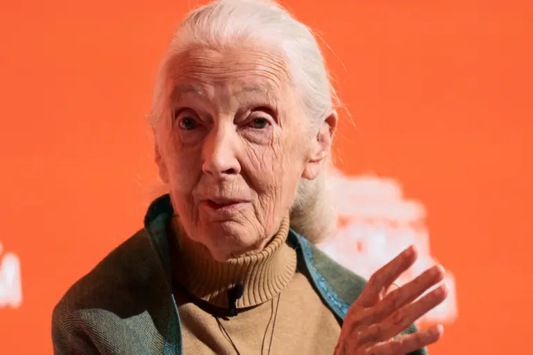 jane-goodall-0.webp