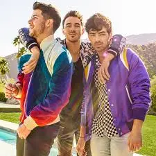Jonas Brothers to Rock Hamilton: A Concert to Remember