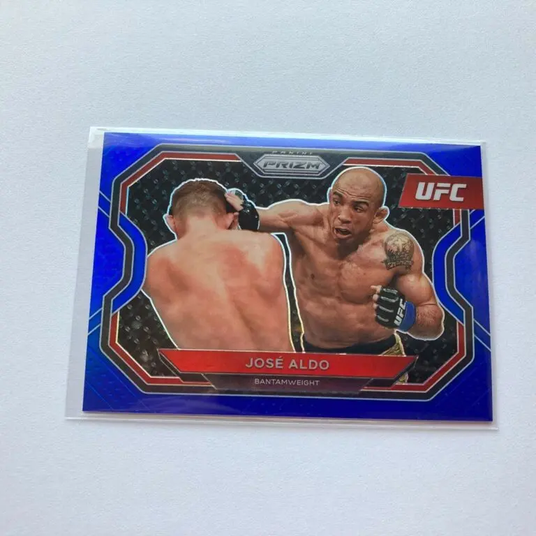 The Remarkable Journey of José Aldo in MMA History image 1