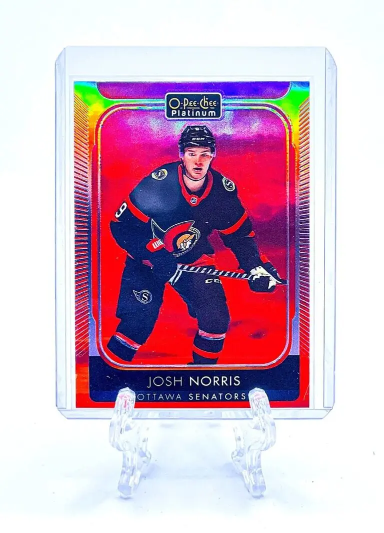 Josh Norris: A Rising Star in the National Hockey League