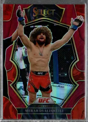 The Rise of Merab Dvalishvili in the UFC image 1