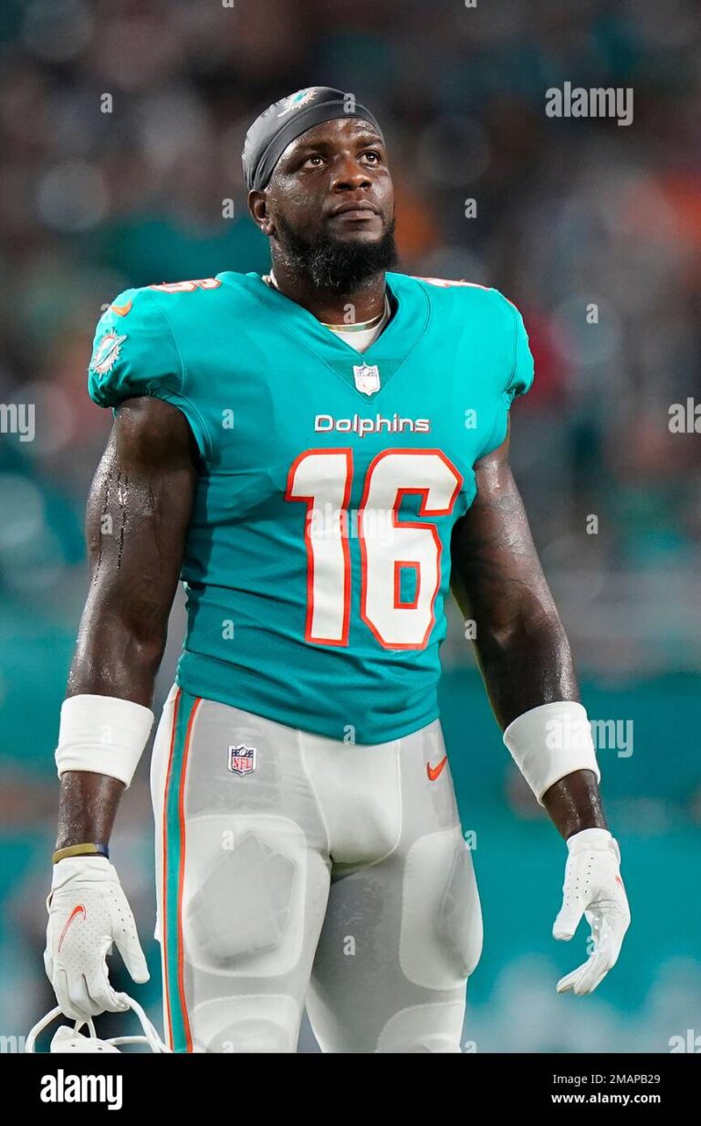 miami-dolphins-16.jpeg
